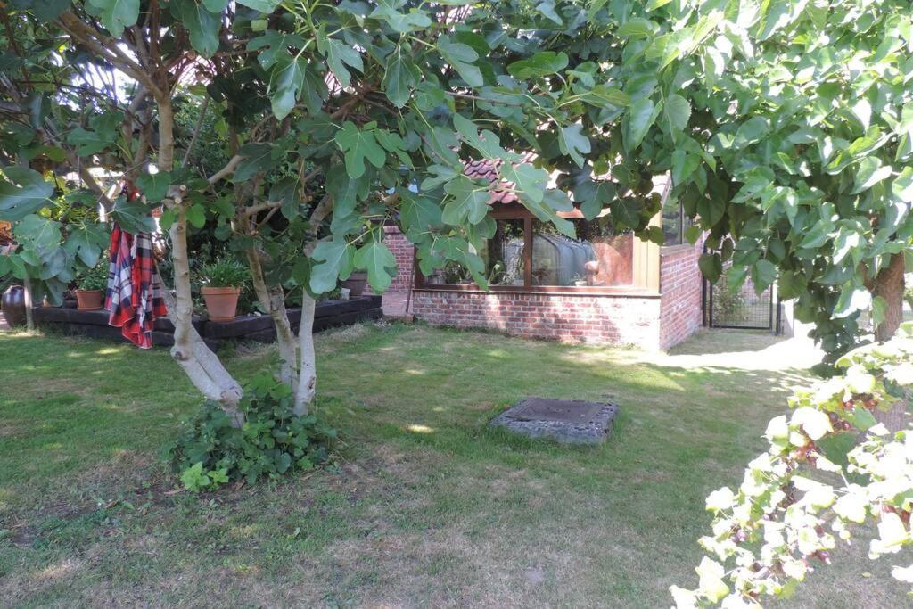 Vakantiewoning Zoetebeek Ауденарде Экстерьер фото